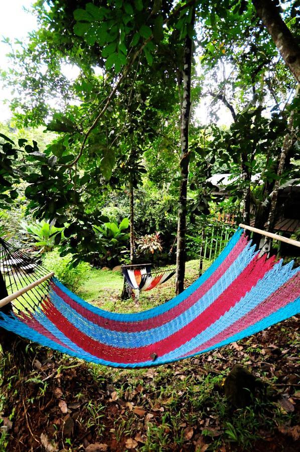 Rio Tico Safari Lodge Punta Mala ภายนอก รูปภาพ