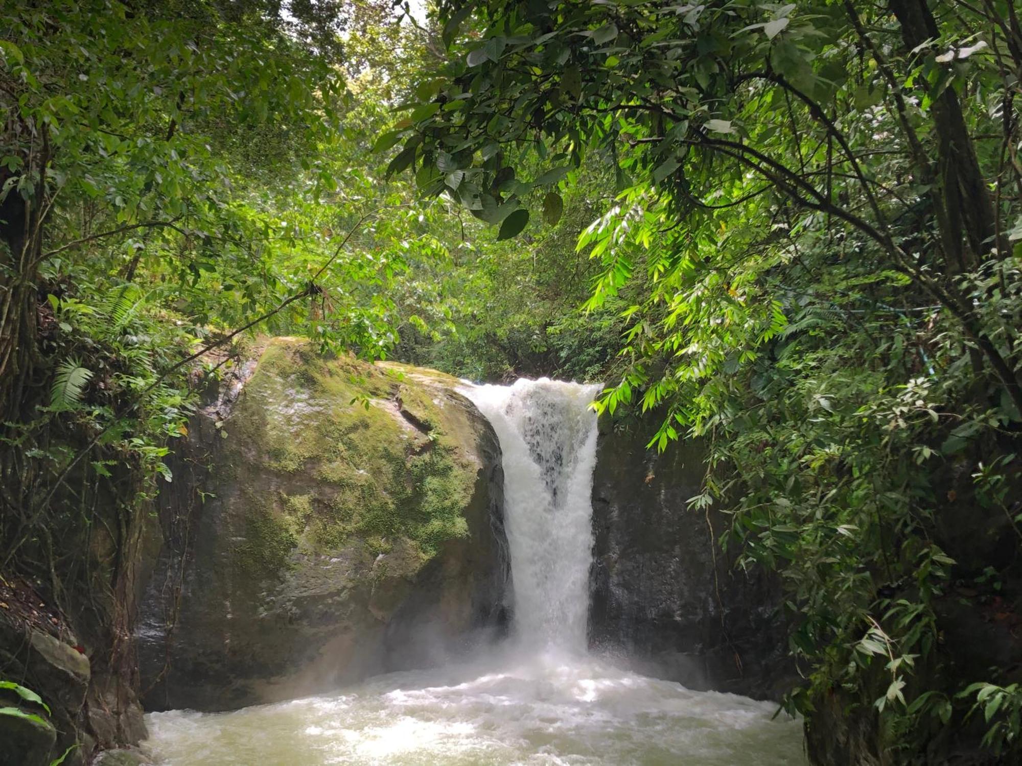 Rio Tico Safari Lodge Punta Mala ภายนอก รูปภาพ